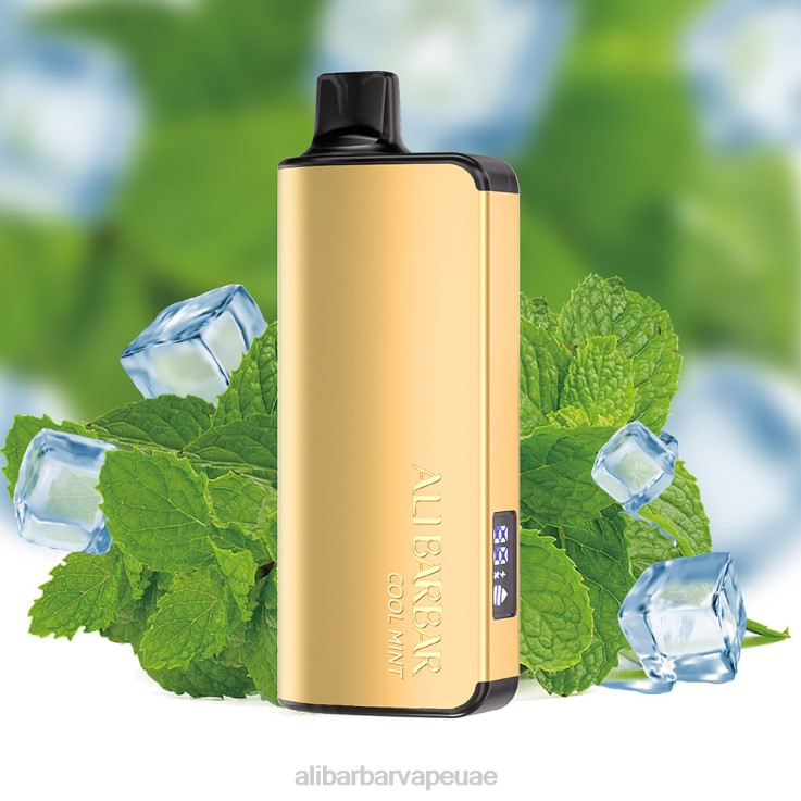 Alibarbar Vape Duba - Alibarbar Ingot 9000 سيجارة يمكن التخلص منها 0BX6N18 نعناع بارد