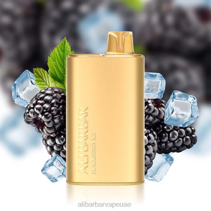 Alibarbar Vape UAE - Alibarbar Rich 8000 سيجارة يمكن التخلص منها 0BX6N1 الروليت نكهة