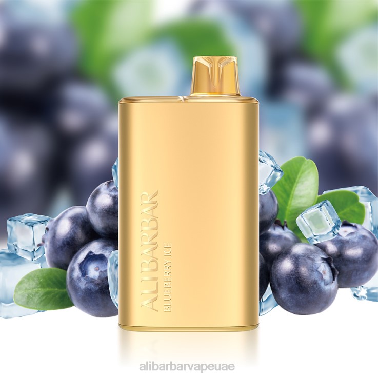 Alibarbar Vape UAE - Alibarbar Rich 8000 سيجارة يمكن التخلص منها 0BX6N1 الروليت نكهة