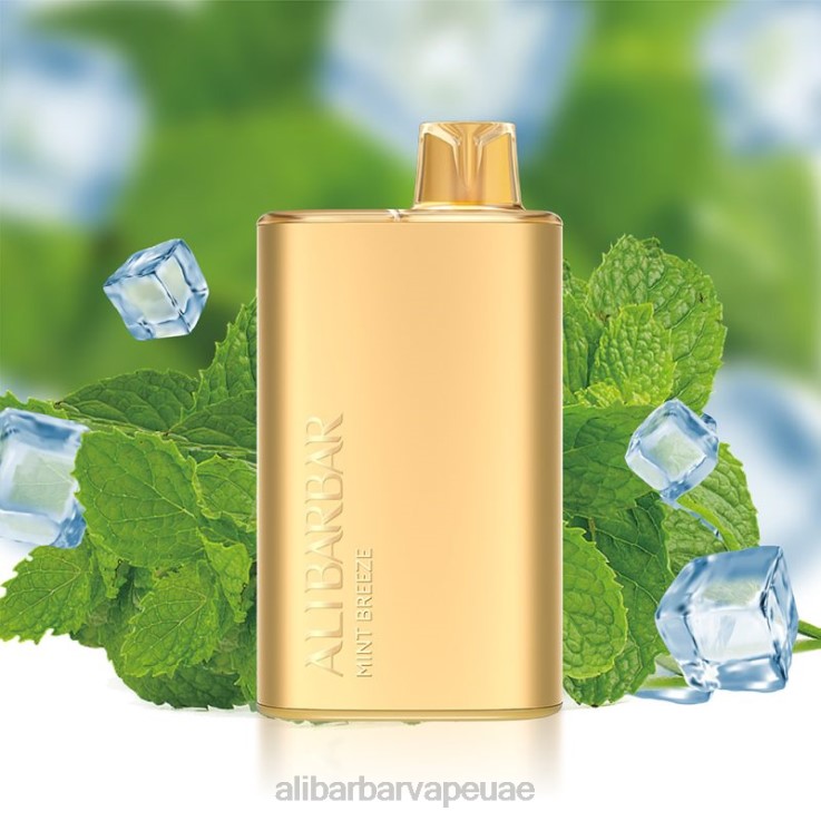 Alibarbar Vape Review - Alibarbar Rich 8000 سيجارة يمكن التخلص منها 0BX6N8 نسيم النعناع